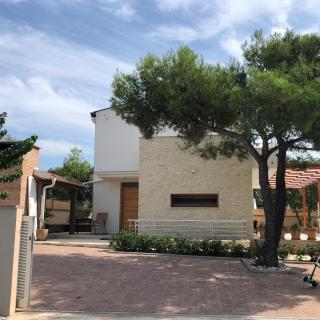Pine Tree Villa - Pakoštane - 7