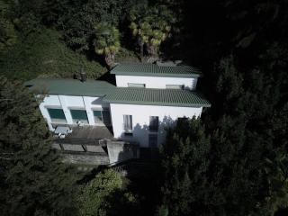 Guesthouse Monte Verità - Ascona - 9