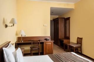 Hotel Leul de Aur - Sebeş - 1
