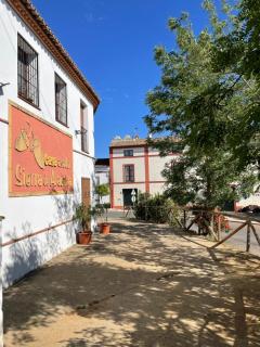 Casa Asador Sierra De Aracena - Aracena - 4