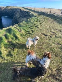 Cois na Mara Eire code V15 T677 - 5