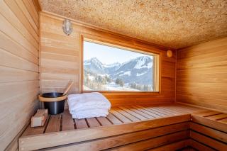 Panoramic Chalet near Gstaad - 7