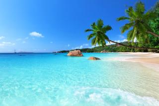 Luxury Vacation Villa in Seychelles by CliffHanger Villas - Misere - 8
