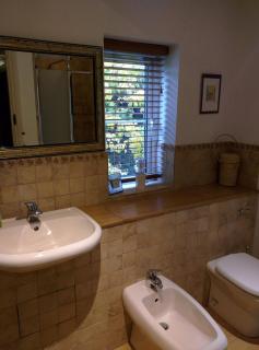 Beautiful Cotswold Farmhouse set in 50 acres - Lechlade - 3