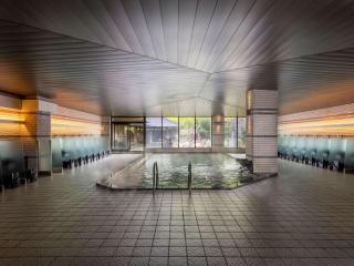 Mercure Kochi Tosa Resort & Spa - Geisei - 4