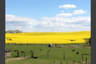 Ferien auf dem Bauernhof Nr. 101 - 8