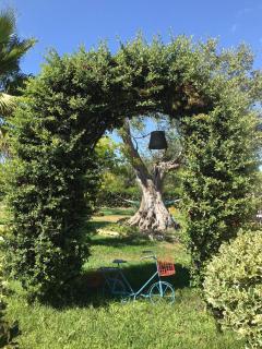 Trulli il Bouganville private pool and relaxation - Ceglie Messapica - 3