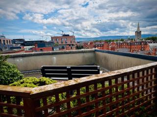 Newly Renovated Christchurch 1BD Roof Garden - Dublino - 8