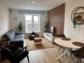 Newly Renovated Christchurch 1BD Roof Garden - Dublino - 6