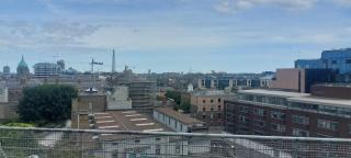 Newly Renovated Christchurch 1BD Roof Garden - Dublino - 2
