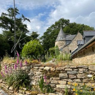 Le Cocon du manoir de Kerollivier - Saint-Gilles-Pligeaux - 6