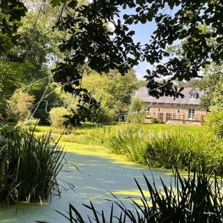 Le Cocon du manoir de Kerollivier - Saint-Gilles-Pligeaux - 8