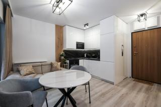Apartament w Centrum, WSZYSTKO NOWE, 550 m do Piotrkowskiej - Łódź - 9