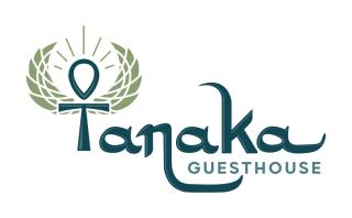 Tanaka Guesthouse - Il Cairo - 9