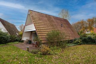 Heggenmus I Huisje met Haard in de Tuin - 1