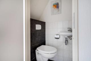 Heggenmus I Huisje met Haard in de Tuin - 3