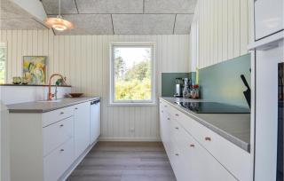 Stunning Home In Skjern With Kitchen - Skjern - 5