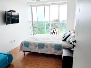 Paraiso Caribeño 706 - 3