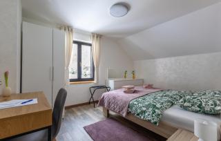 Amazing Home In Novo Zvecevo With Sauna - Novo Zvecevo - 5