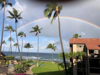 Papakea B306 - Kahana - 9