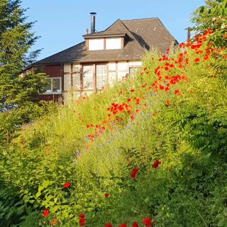 Villa Christina - Lindenfels - 3