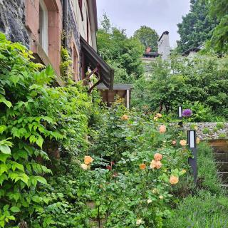 Villa Christina - Lindenfels - 2