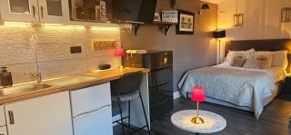 BELFAST COSY CABIN - Belfast - 5