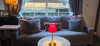 BELFAST COSY CABIN - Belfast - 9