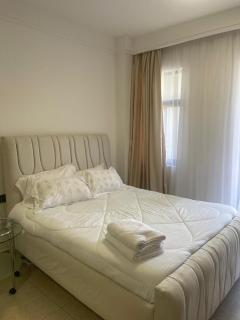 Loftel apartments - Ruaka - 5