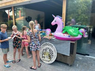 Camping Emmen - Schoonebeek - 4