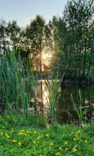 Camping Emmen - Schoonebeek - 3