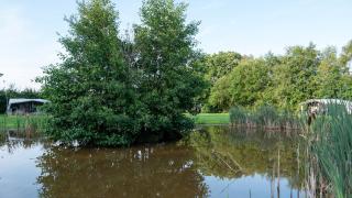 Camping Emmen - Schoonebeek - 1