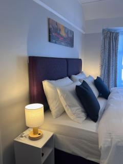 The Grenadine House - South Norwood - 8