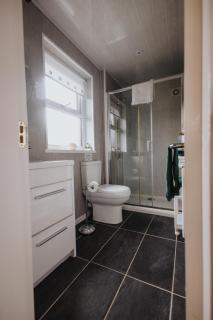 Ferlas Bed and Breakfast - Penrhyndeudreath - 4