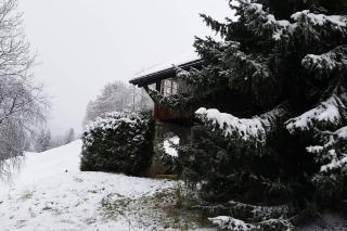 Cosy authentic Chalet in Gsteig bei Gstaad - Gsteig - 0