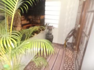 Mamamariya home Stay - Cochin - 4