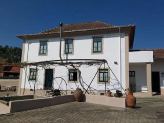 Casa da Carlota - São Vicente de Pereira Jusã - 8