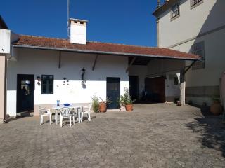 Casa da Carlota - São Vicente de Pereira Jusã - 6
