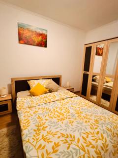 Home Guest Apartments 2 - Oradea - 5