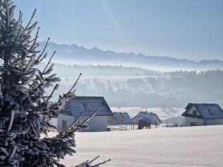 Dziewięćsił &Chaber _domki blisko lasu - 0