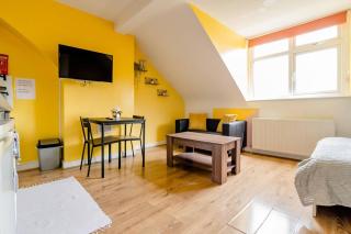 Comfortable room in Seven Sisters, London - London - 9