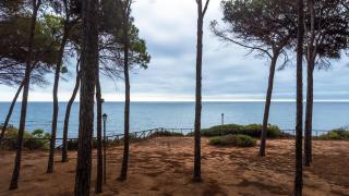 Villa Luna Home Holiday 100 mt from the sea - Forte Village - 5