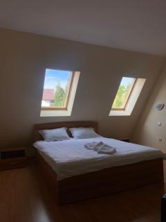 Pensiunea Zimbru - 2