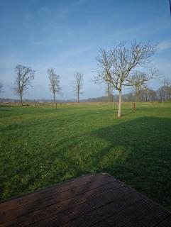 Glampingtent 6 persoons Lindershoeve Bergeijk - Bergeijk - 6