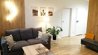 Apartament Kameralis Old Town - klimatyzacja - balkon - winda - Elblag - 8