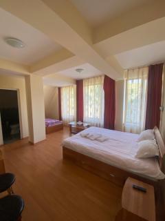 Pensiunea Zimbru - 3