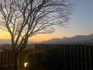 御宿だいこんや - 8