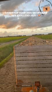 Pilotenhof - Hooizolder - - 5