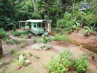 Jungle Bus, 5 min drive to PlayaLinda, 15 to Dominical, Wifi Starlink - Quepos - 6