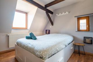 Duplex Spacieux et Moderne Au cœur de l Alsace - Erstein - 3
